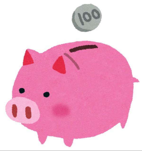 2017年、貯金して買いたい物はなんですか？