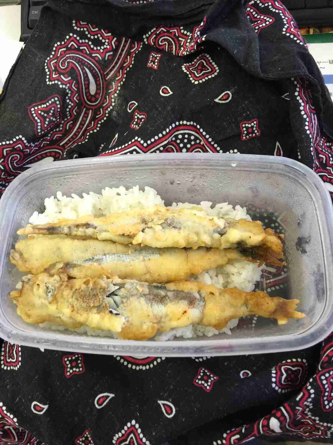 雑なお弁当を語りたい