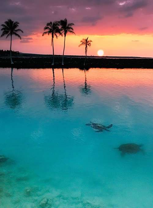 綺麗な夕焼けの画像を貼るトピ