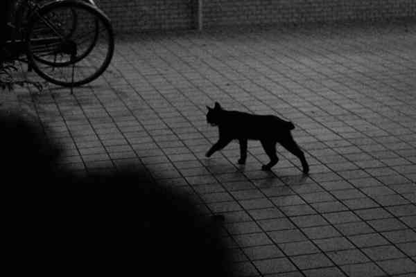 夜行くとワクワクする場所