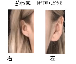 ざわちん、2017年初ものまねメイクは