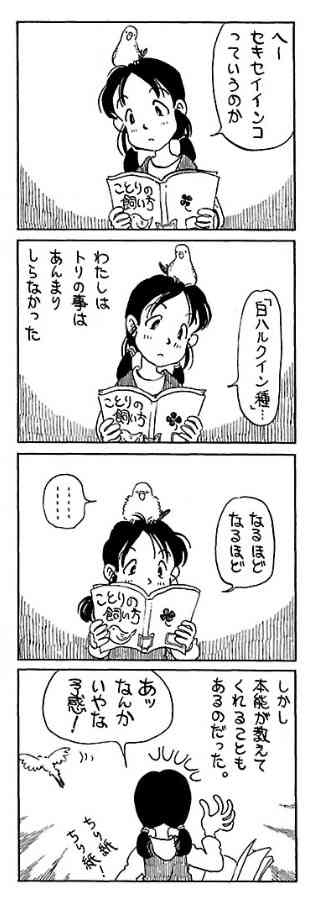 鳥が好きな方、集合ー！
