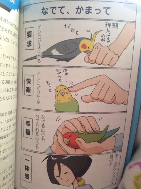 鳥が好きな方、集合ー！