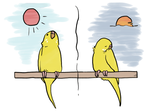 鳥が好きな方、集合ー！