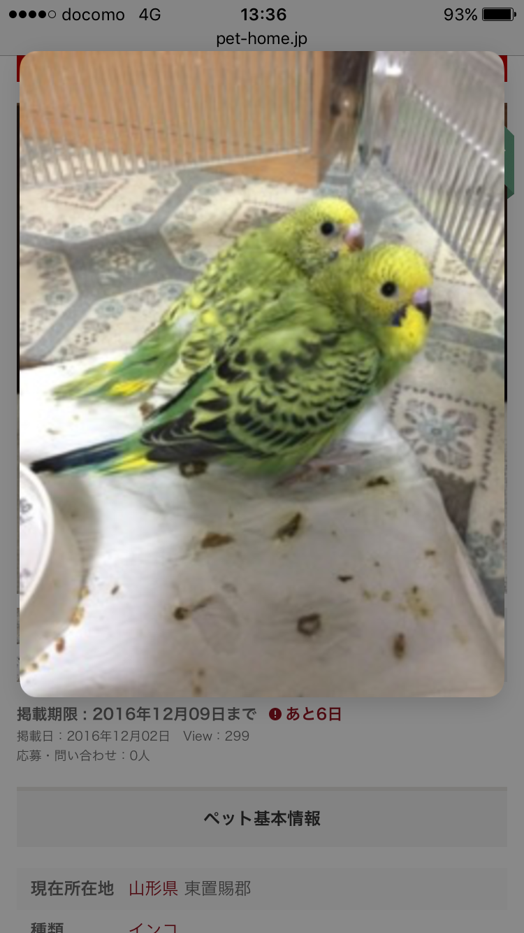 鳥が好きな方、集合ー！