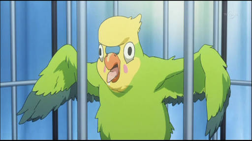 鳥が好きな方、集合ー！