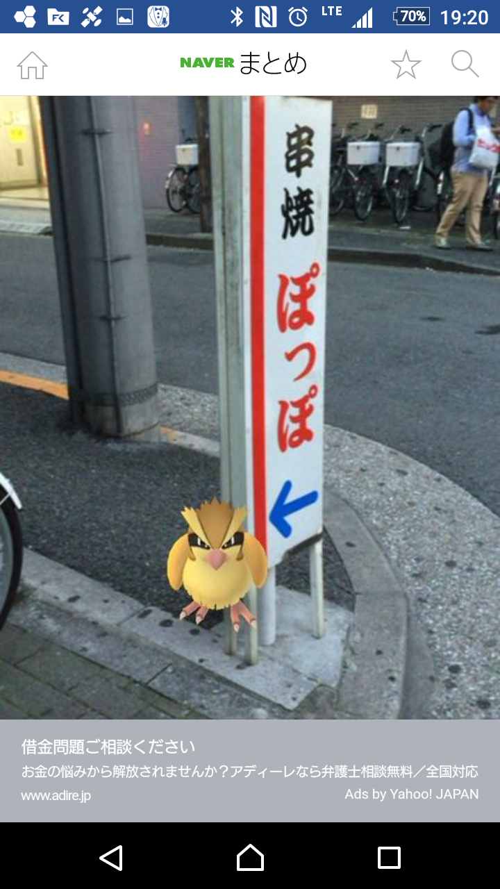 鳥が好きな方、集合ー！