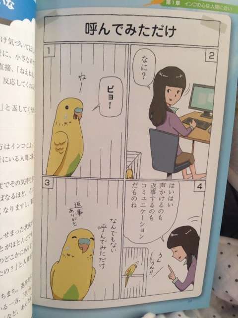鳥が好きな方、集合ー！