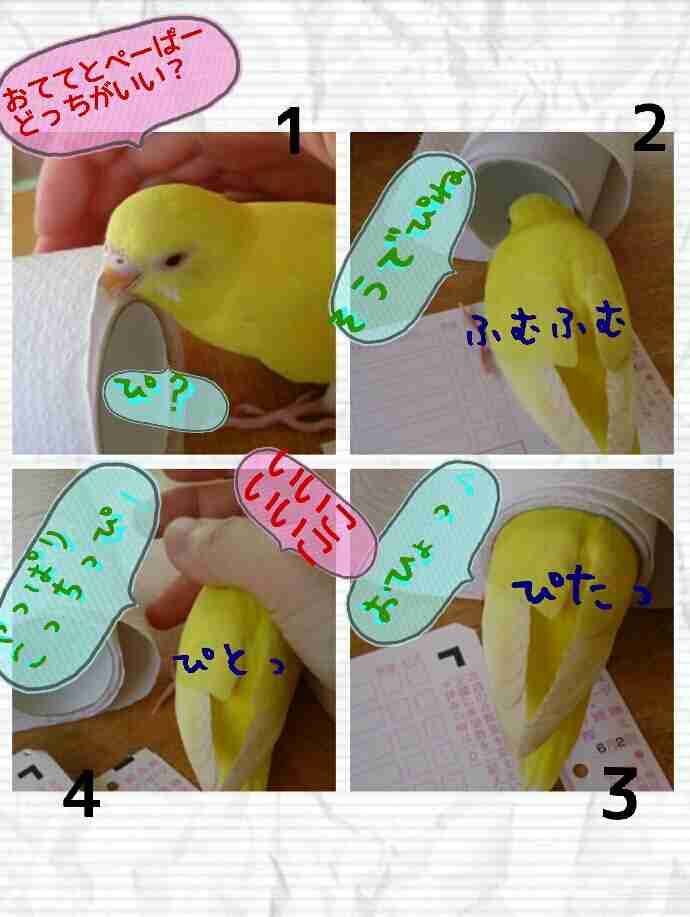 鳥が好きな方、集合ー！