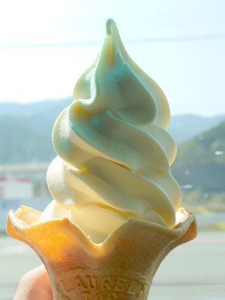 三重県民の集い