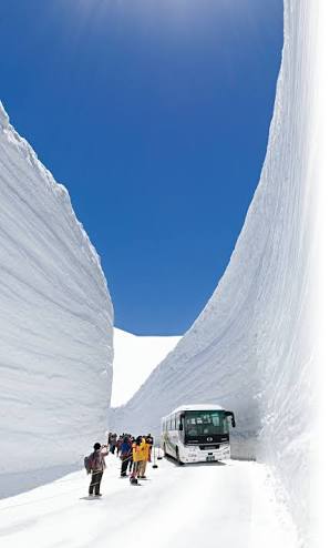 冬の旅行でお勧めの場所