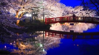 日本で絶対に行くべき素敵な場所