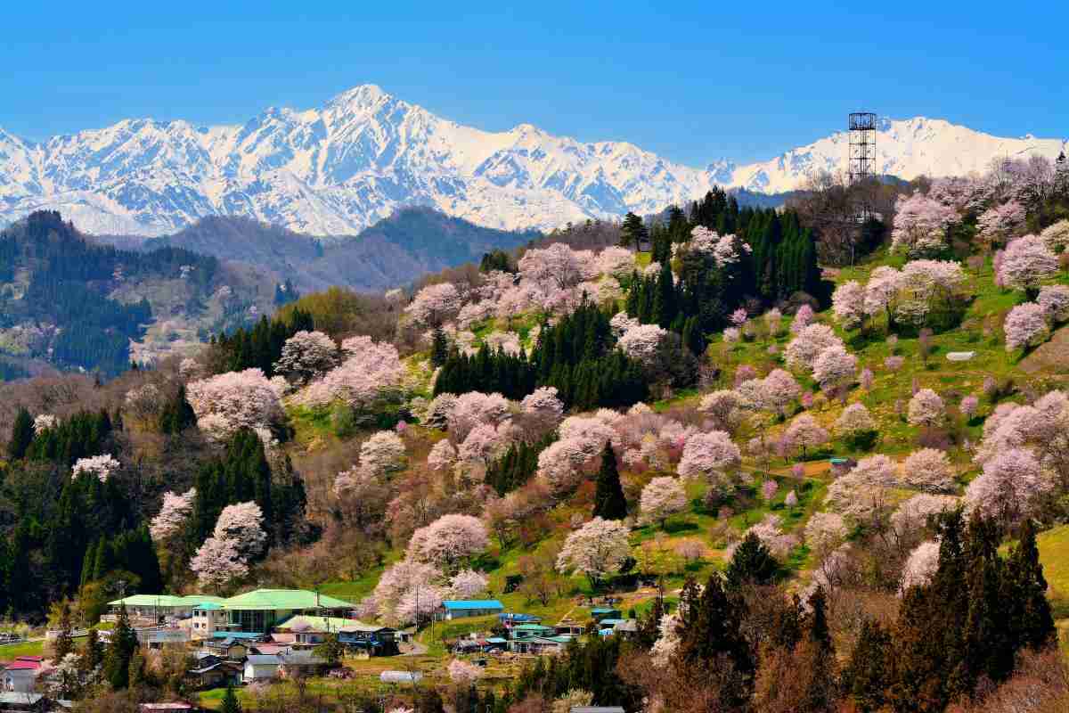 日本で絶対に行くべき素敵な場所