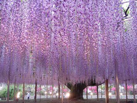 日本で絶対に行くべき素敵な場所