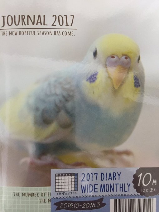 ダイソーのオススメ商品教えて