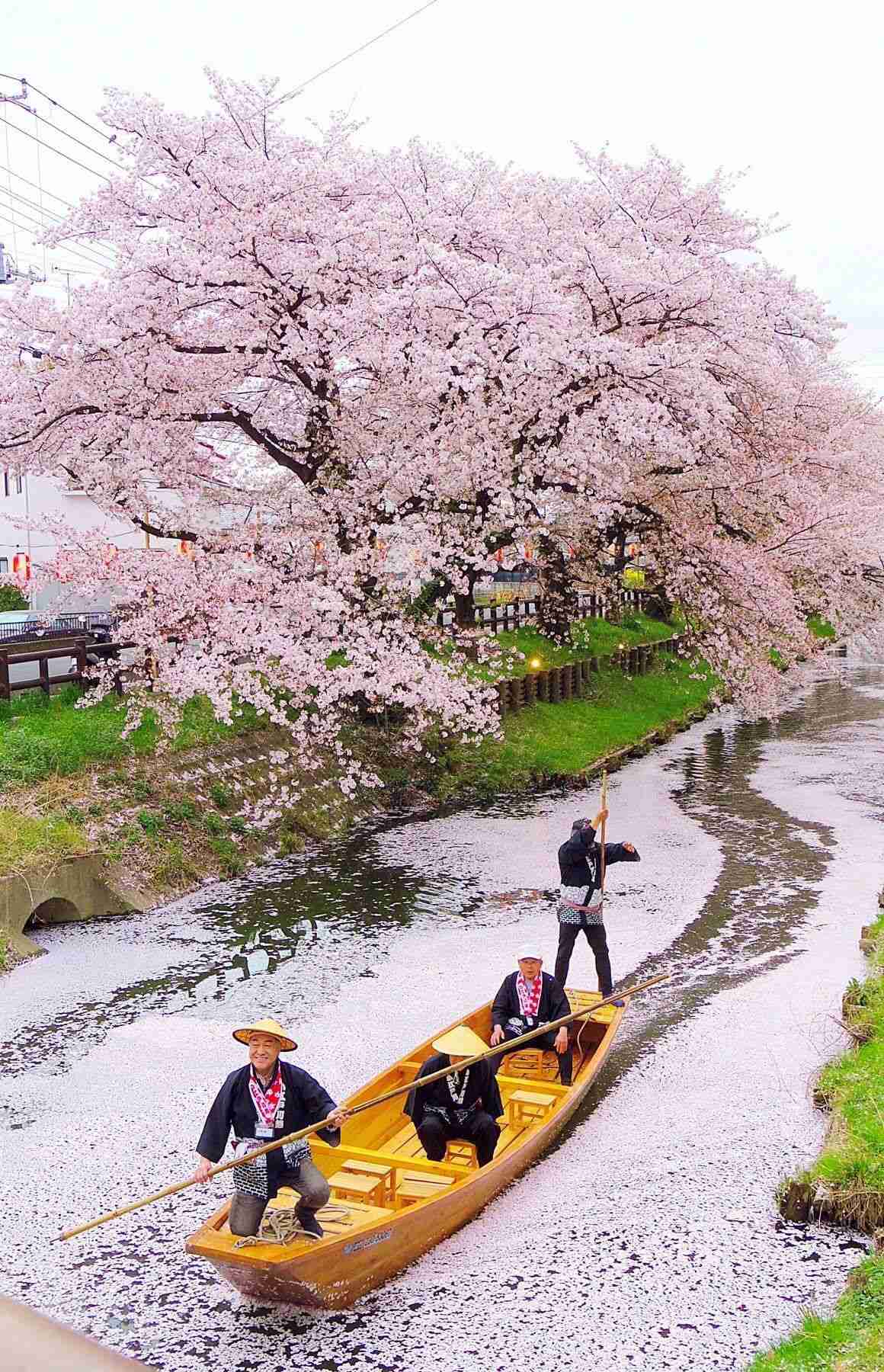 竹島に慰安婦像設置は「日韓友好と平和の象徴に」と首謀者