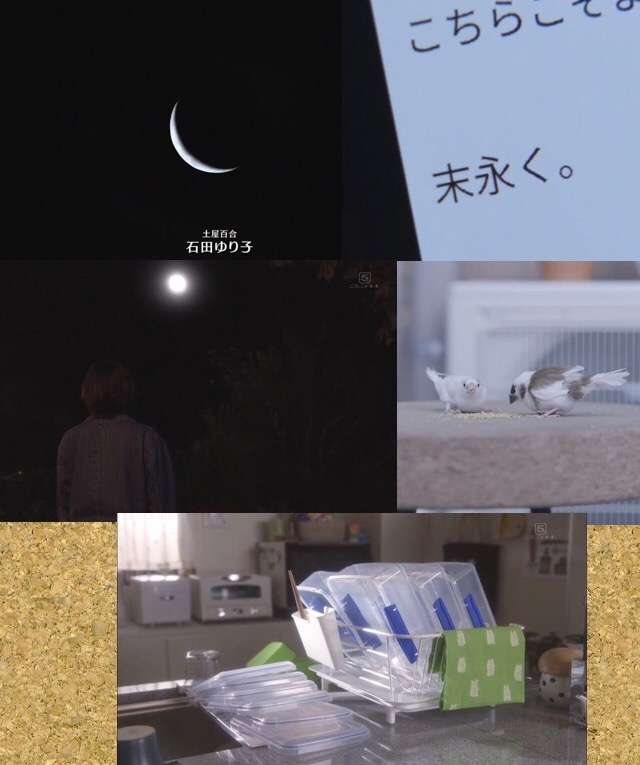逃げるは恥だが役に立つみたいに言う