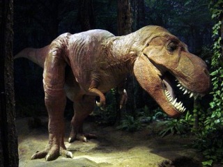 茨城県のオススメ教えて！