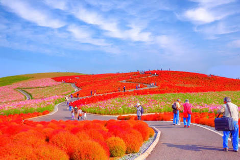茨城県のオススメ教えて！