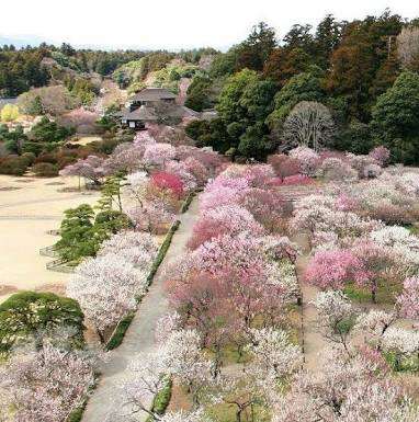 茨城県のオススメ教えて！