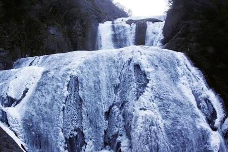 茨城県のオススメ教えて！
