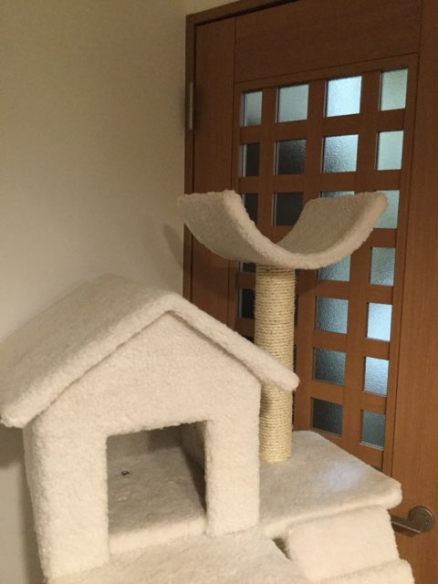 コメントの途中で寝るトピzzz