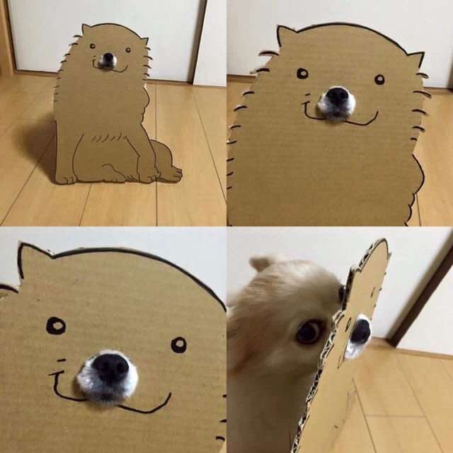 コメントの途中で寝るトピzzz