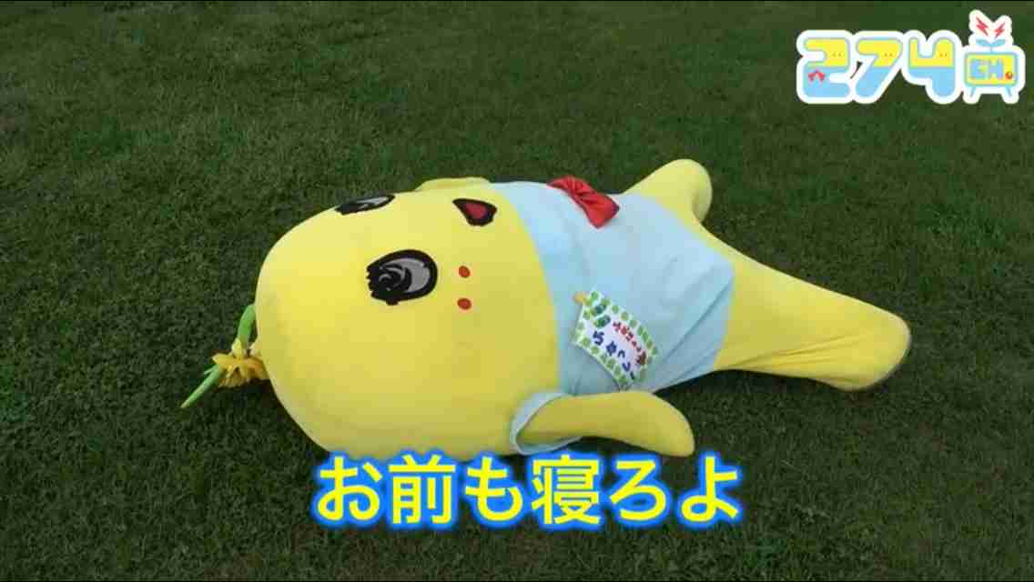 今夜見たい夢を、書き込むトピ
