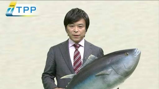 コラじゃないのにコラみたいな画像
