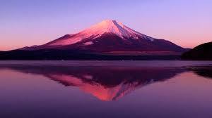 紫色の画像で穏やかになるトピ