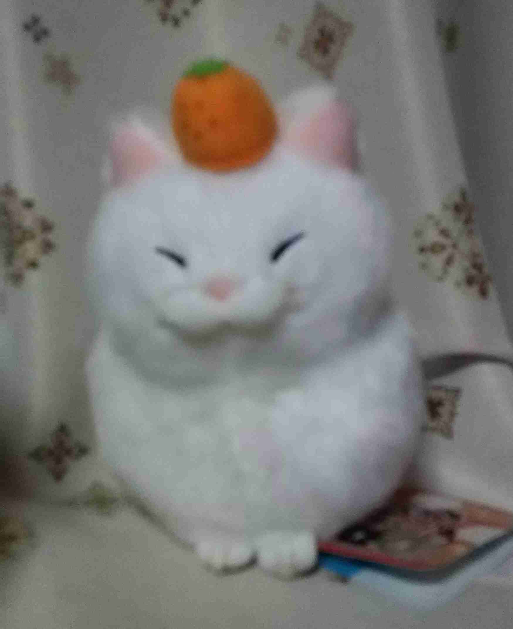 猫グッズで溢れるトピ