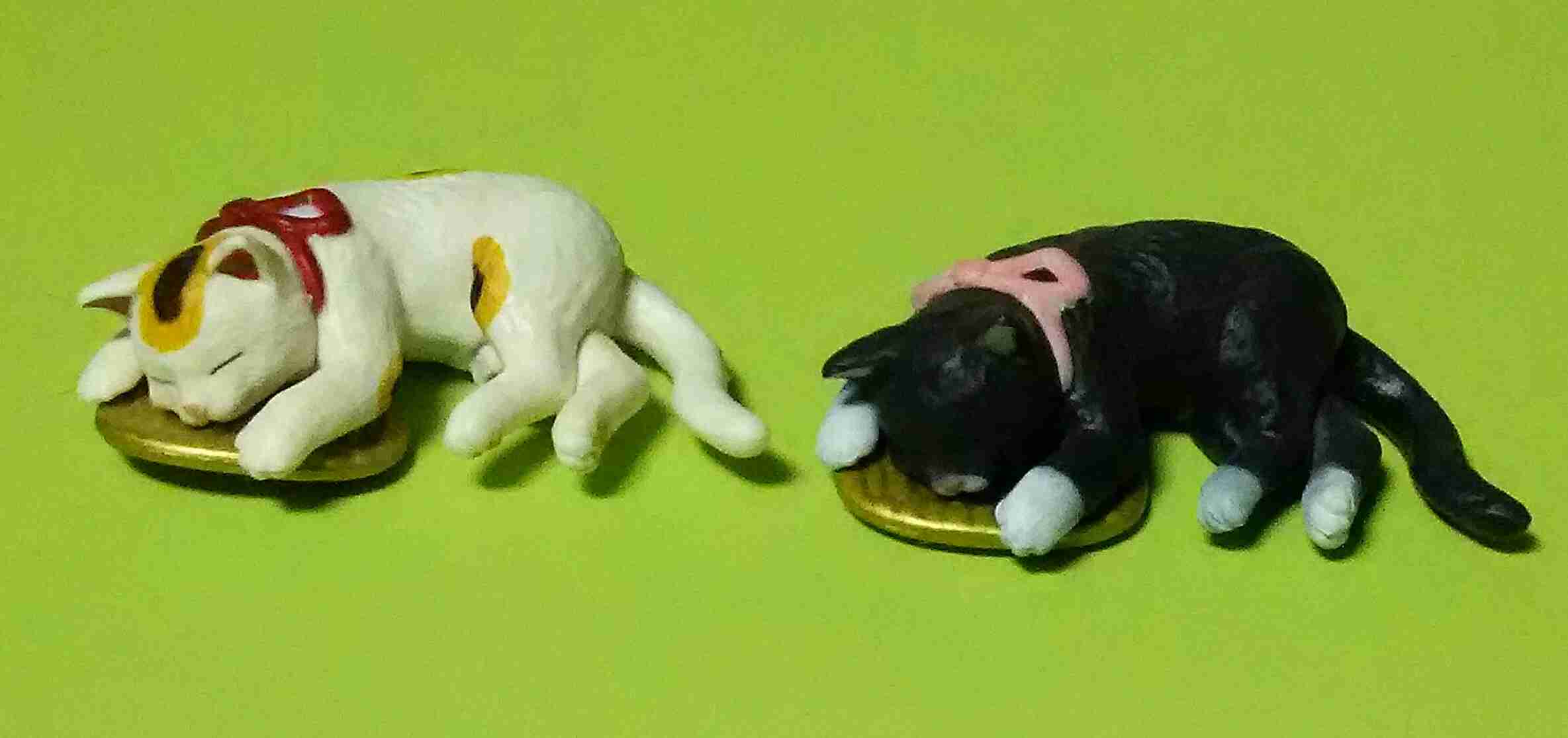 猫グッズで溢れるトピ