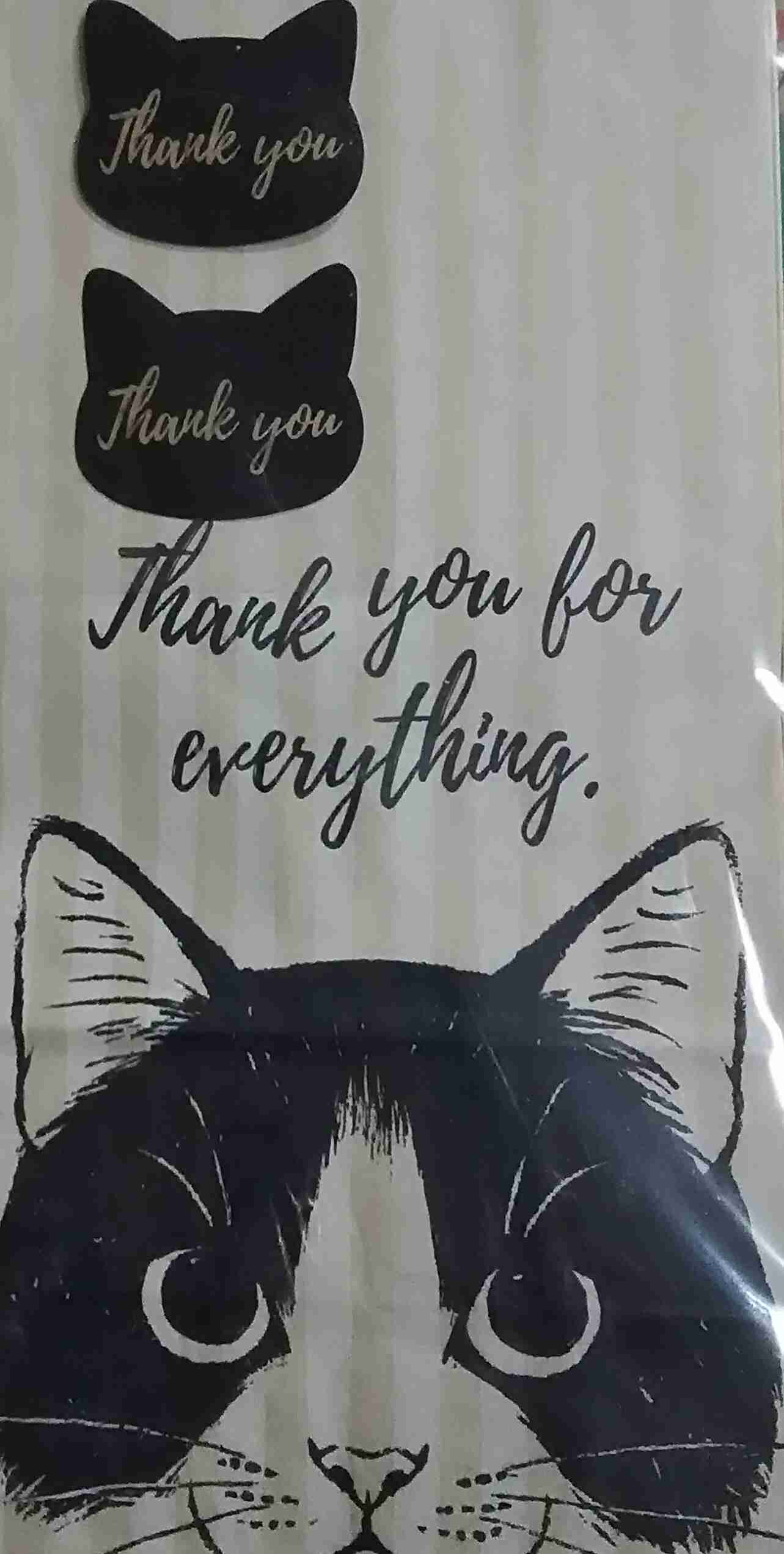 猫グッズで溢れるトピ