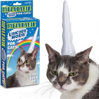 猫グッズで溢れるトピ