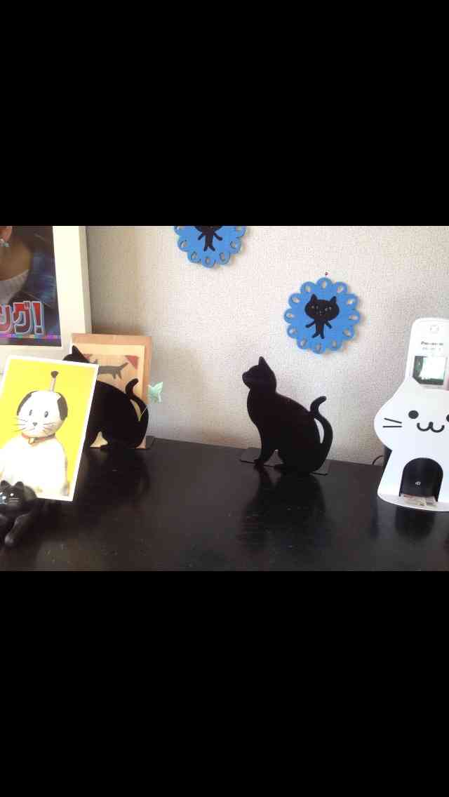 猫グッズで溢れるトピ