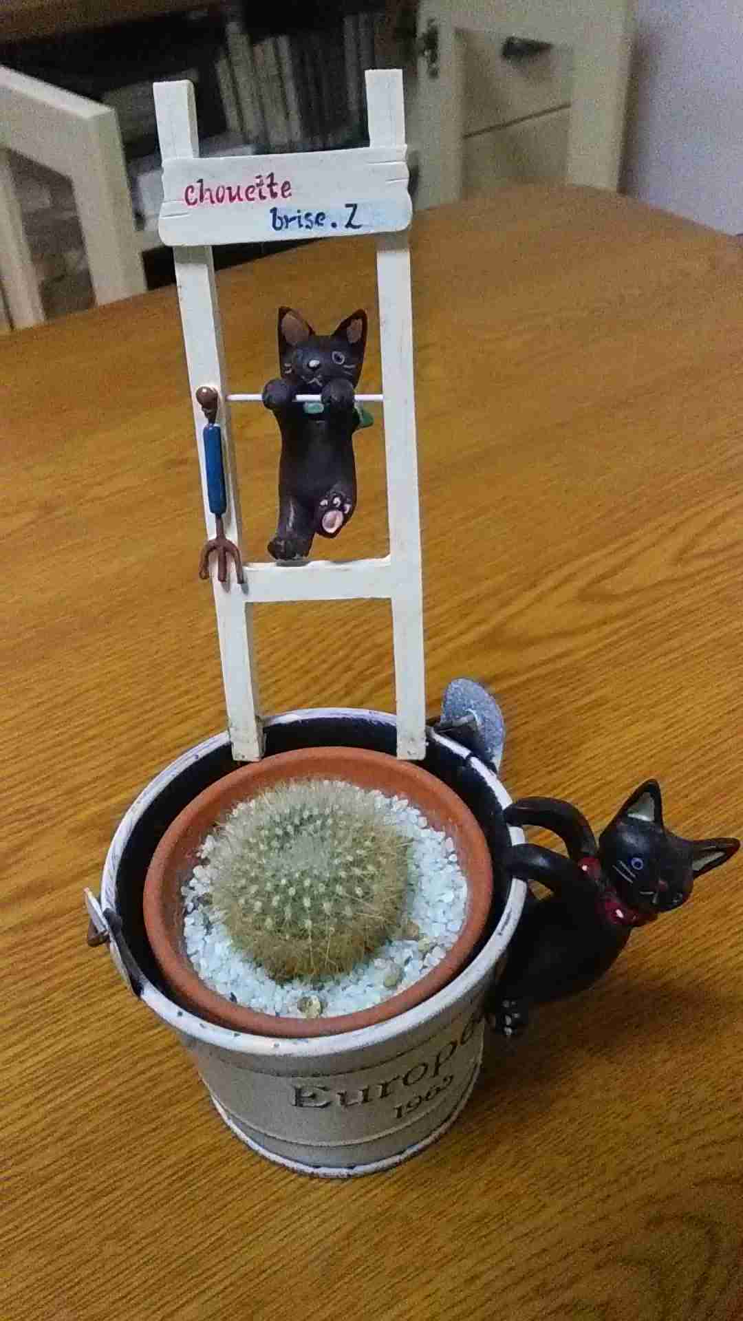 猫グッズで溢れるトピ