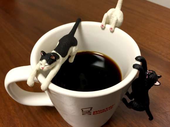 猫グッズで溢れるトピ