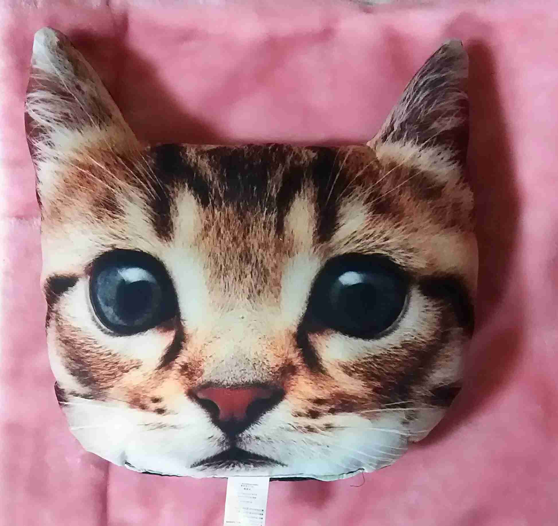 猫グッズで溢れるトピ