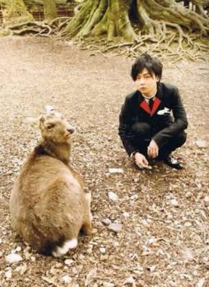 「奈良の良さ、もっと届け！」小学生がパズルや広告作成に挑戦、自ら取材や売り込みに