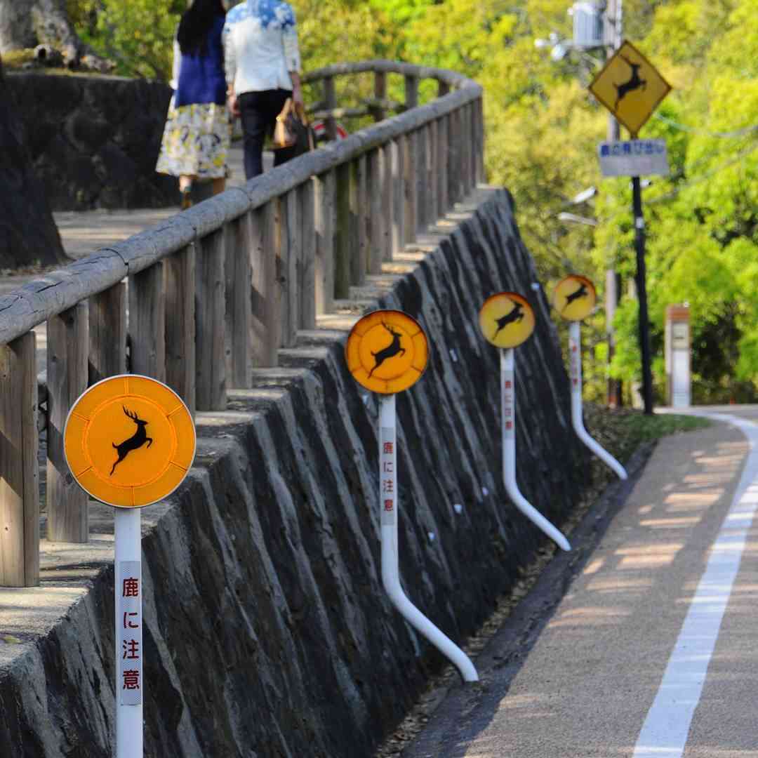 「奈良の良さ、もっと届け！」小学生がパズルや広告作成に挑戦、自ら取材や売り込みに