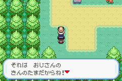 【ゲーム】ポケモンあるある