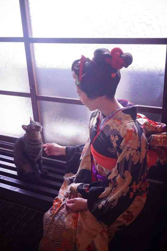 かわいい舞妓さんの画像が集まるトピ。