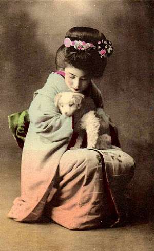 かわいい舞妓さんの画像が集まるトピ。