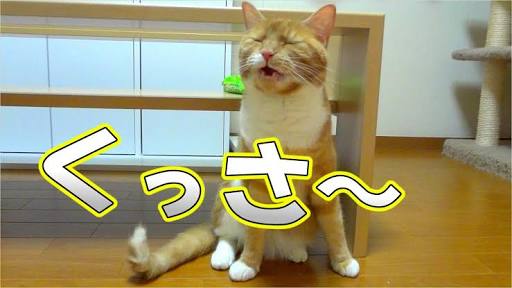 今でも「あさが来た」が好きな人！