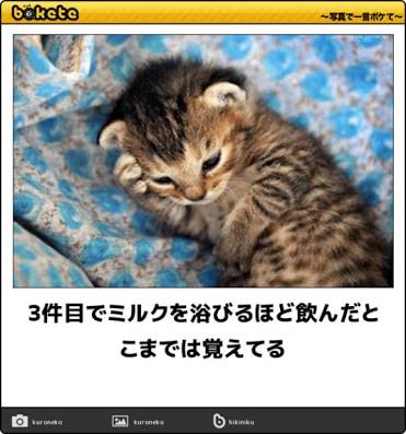 トピタイトルにトピ画を付ける練習トピ