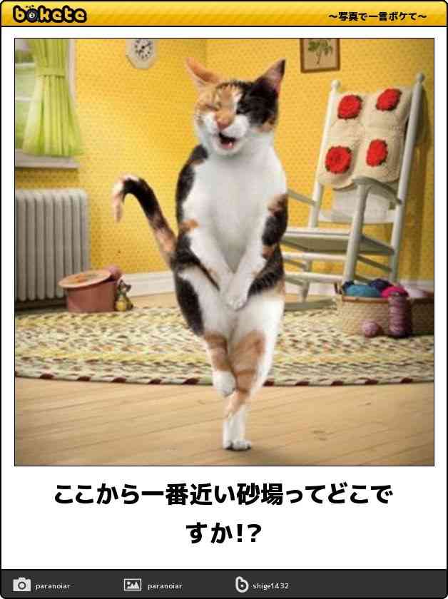 トピタイトルにトピ画を付ける練習トピ