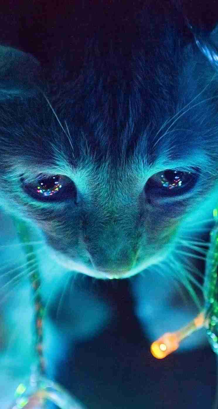 動物の画像にセリフを付けるトピ