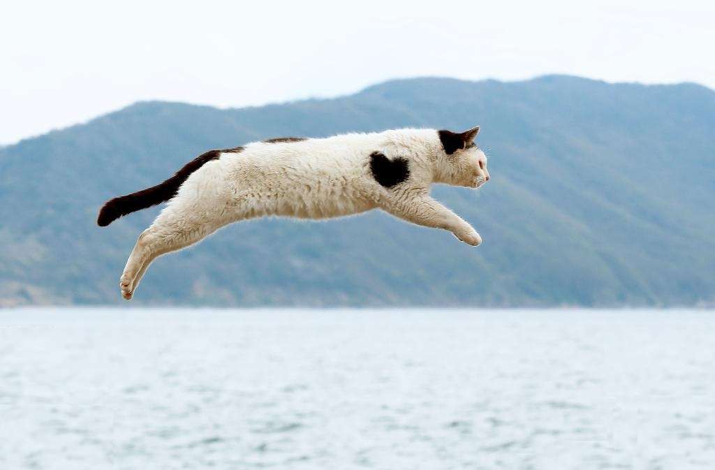 動物の画像にセリフを付けるトピ