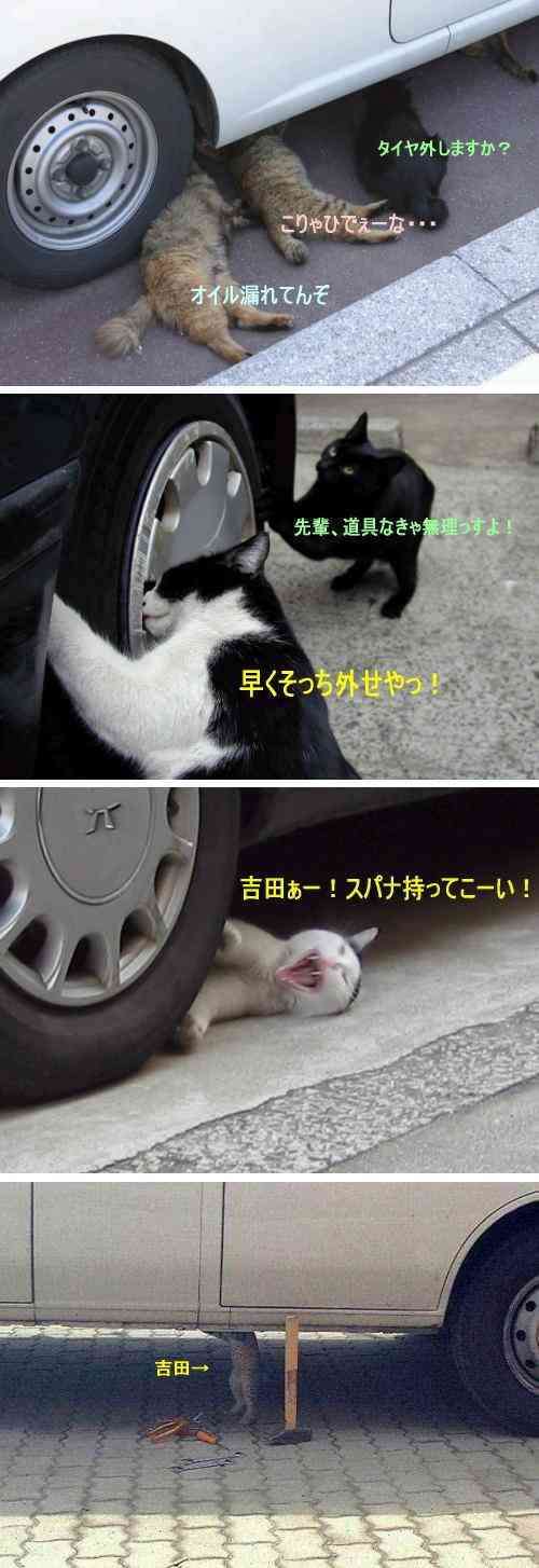 動物の画像にセリフを付けるトピ