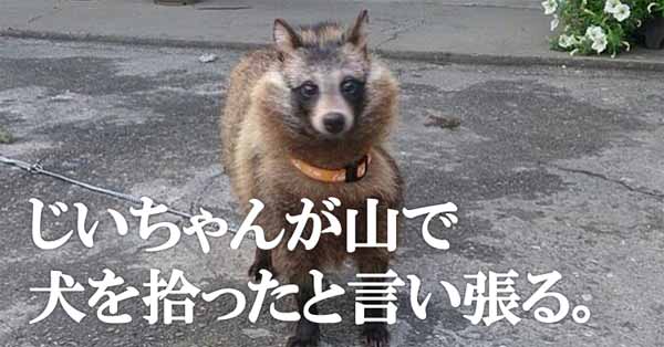 動物の画像にセリフを付けるトピ